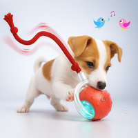 Pounce & Play Automatic Cat Ball™